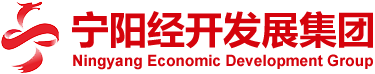 山東寧陽(yáng)經(jīng)濟(jì)開(kāi)發(fā)區(qū)發(fā)展集團(tuán)有限公司 