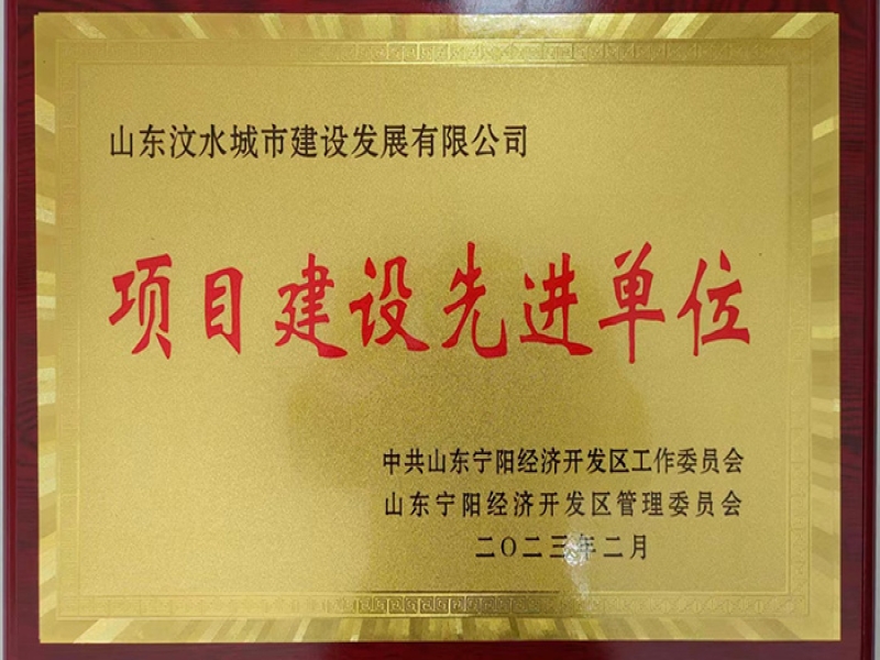 項目建設(shè)先進單位